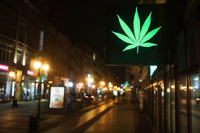 Cannabis Legalisierung Schweiz Wird Kiffen ab 2028 legal?